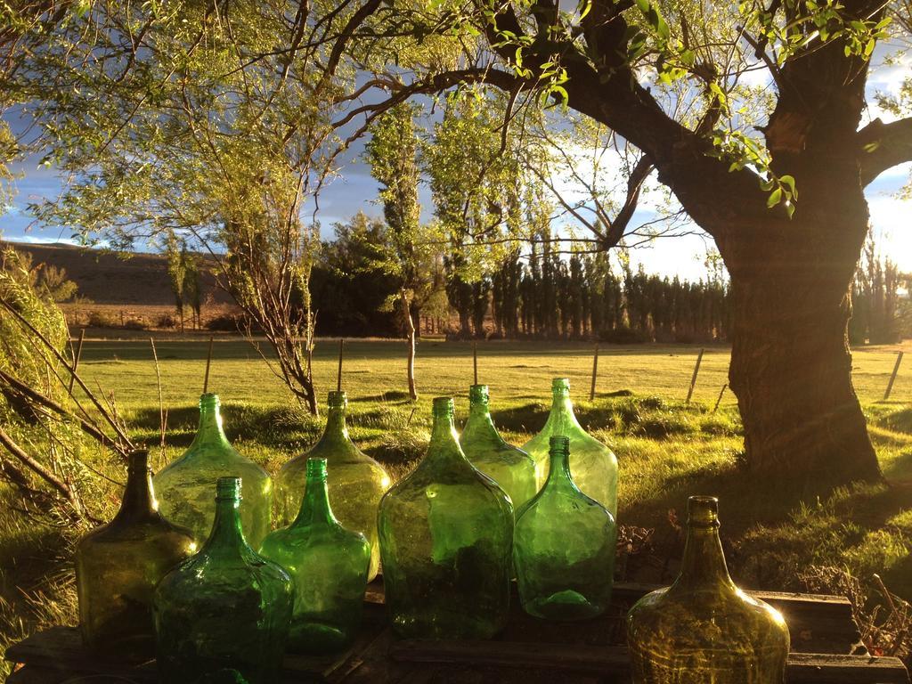 Estancia Santa Thelma Bed & Breakfast Casa Riera Bagian luar foto
